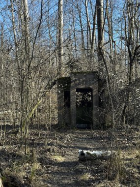 Yapraksız ağaçlar ve kuru yapraklarla çevrili terk edilmiş bir bina zamanın geçişini ve doğanın insan yaratılışı üzerindeki egemenliğini gösteriyor.