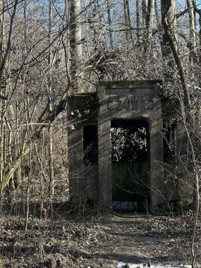 Terk edilmiş bina yeşilliklerle çevrili, sakin bir ormana yerleşmiş, doğanın güzelliğini, insan yapılarını ve zamanın geçişini resmediyor.