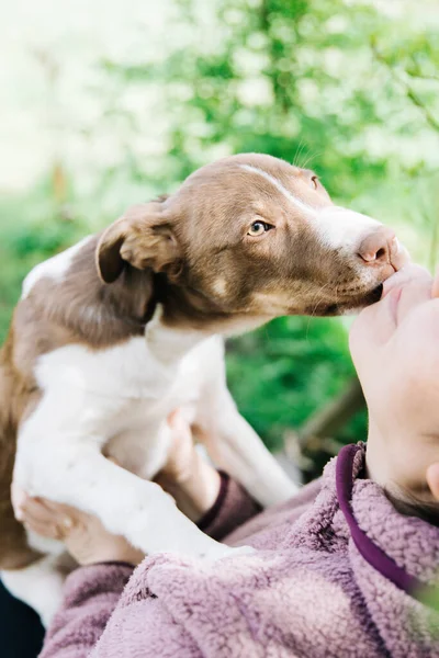 Tanımlanamayan genç bir kadın köpeğiyle oynuyor ve anın tadını çıkarıyor. Yüksek kalite fotoğraf