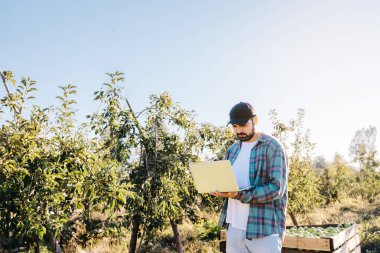 Genç latin çiftçi tarlasının ortasında dizüstü bilgisayarıyla telgraf çekiyor. Tarım sürdürülebilirliği. Yüksek kalite fotoğraf