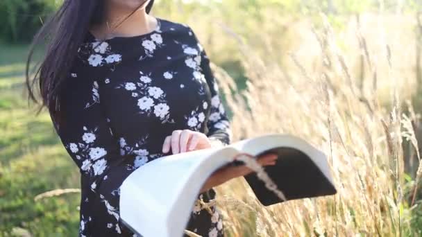 Young Religious Christian Girl Holding Reading Her Bible Field Sunset — Stock Video