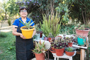 Elderly latin farmer woman holding a flower pot with aloe vera plant in her garden. High quality photo