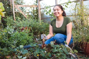 Young latin farmer woman working with a garden spade shovel in her organic garden. High quality photo