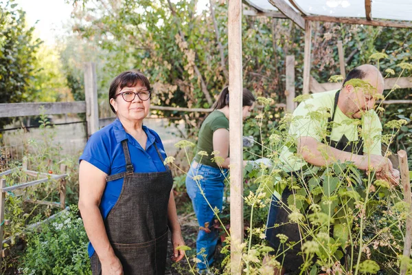 stock image Family of gardeners in her organic garden. One of them is holding a flower pot with aloe vera. High quality photo