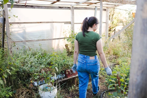 Rear View Young Latin Farmer Woman Entering Her Organic Garden — Stock Photo, Image