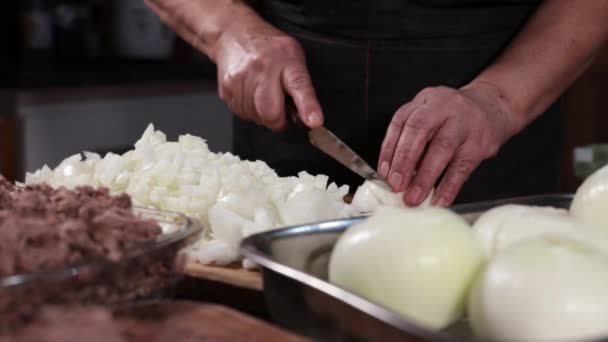 Primer Plano Una Mujer Latina Irreconocible Picando Cebolla Carne Para — Vídeos de Stock