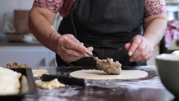 Latin Elderly Woman Crafting Flavorful Chilean Meat Onion Filled Empanadas — Stock Video