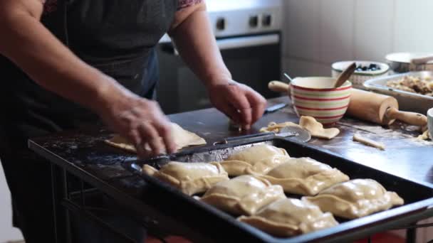 Γεύσεις Κληρονομιάς Latin Elderly Woman Preparing Chilean Baked Beef Empanadas — Αρχείο Βίντεο