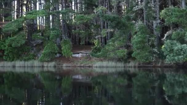 Solstrålen Passerar Genom Träden Till Floden Sett Inifrån Båt Synvinkel — Stockvideo