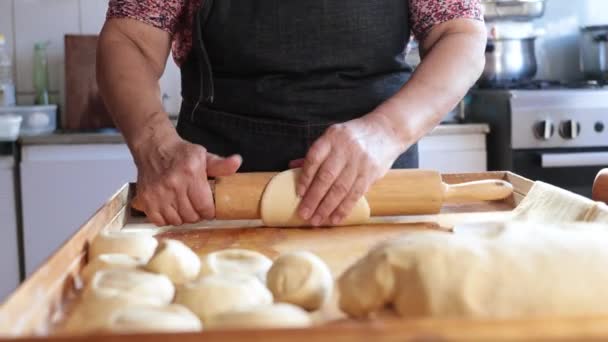 Latin Elderly Woman Crafting Flavorful Chilean Meat Onion Filled Empanadas — Vídeo de Stock