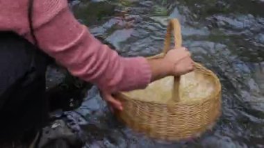 Geleneksel Muday Hazırlığı İçin El Yapımı Hasır Sepet Kullanılarak Kırsal Buğday Tarlasında Tanınmayan Mapuche Kadın