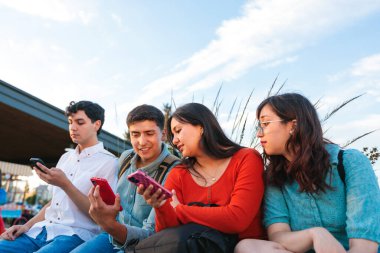 Dört genç öğrenci parkta otururken birlikte akıllı telefonlarını kullanıyorlar, ders çalışmaktan keyif alıyorlar.