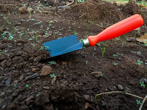 El Arası Bahçe ve Tarım Çiftliği İşletme Aletleri, Hızlı çalışmak için Nakil El Küreği