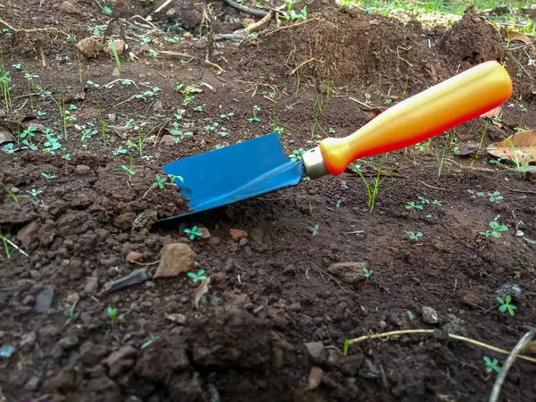El Arası Bahçe ve Tarım Çiftliği İşletme Aletleri, Hızlı çalışmak için Nakil El Küreği