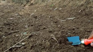 El Arası Bahçe ve Tarım Çiftliği İşletme Aletleri, Hızlı çalışmak için Nakil El Küreği