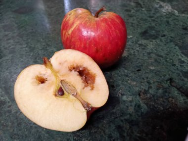 Elma kurtçuğu (ayrıca demiryolu solucanı olarak da bilinir), sinekgiller (Felidae) familyasından bir meyve sineği türüdür.