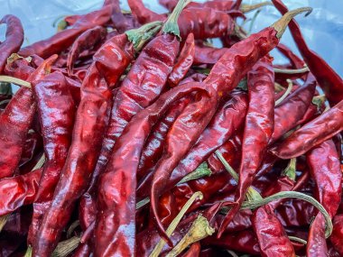 Kurutulmuş kırmızı biber, parlak kırmızı renk, ince şekil ve ince ten..