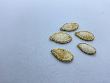 kabak çekirdeği. Cucurbita cinsi