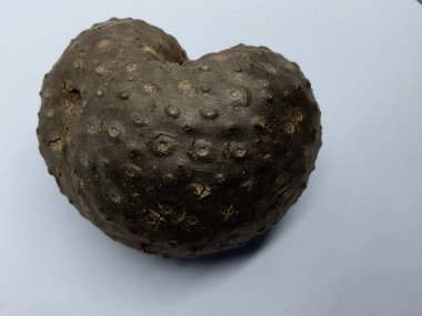 Dioscorea Bulbifera 'nın kalp şeklinde ampulleri, yaygın olarak hava patatesi olarak bilinir.