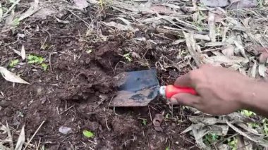 Mini kürek, tarım çiftliği ve bahçe işlerinde kullanmak üzere Toprak Bahçesi Aletini kazmak için kullanılıyor.