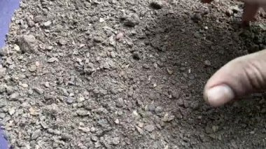 Neem khali, bilinen adıyla Neem khali doğal bir organik gübredir..