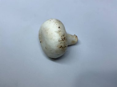 Agaricus bisporus yaygın olarak düğmeli mantar olarak bilinir.