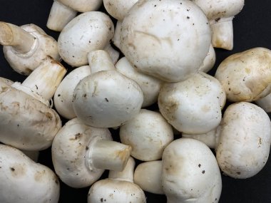 Agaricus bisporus yaygın olarak düğmeli mantar olarak bilinir.