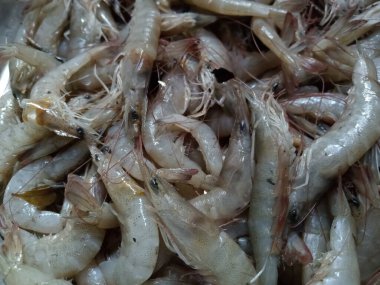 Pişmemiş karides ya da karides yığını. Taze görünüyorlar, şeffaf, açık beyazdan soluk pembeye