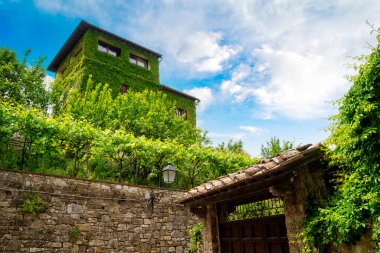 Floransa Sarmaşığı ile kaplı eski bir kule.