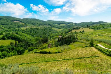 Toskana kırsalının tepelerinde Chianti şarap bağları Floransa