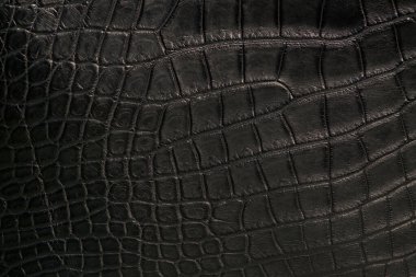 Siyah bir timsah derisine yaklaş.