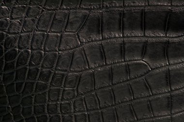 Siyah bir timsah derisine yaklaş.