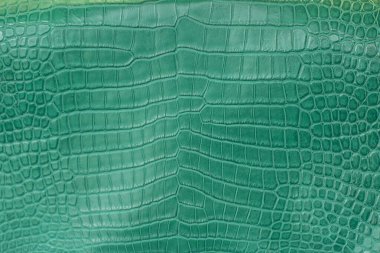 Yeşil timsah derisi arka plan dokusu