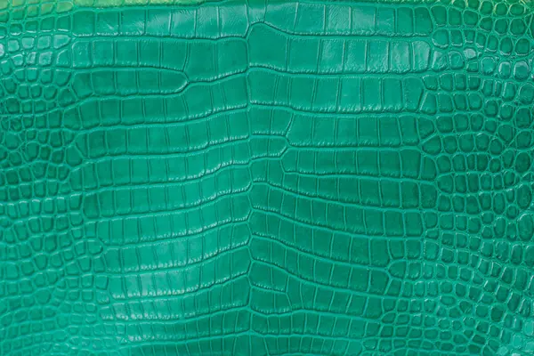 Yeşil timsah derisi arka plan dokusu