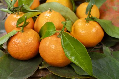 Ahşap mutfak masasında Mandarin meyvesi