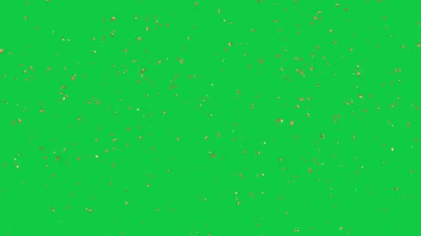 Explosión Confeti Oro Pantalla Verde — Vídeo de stock