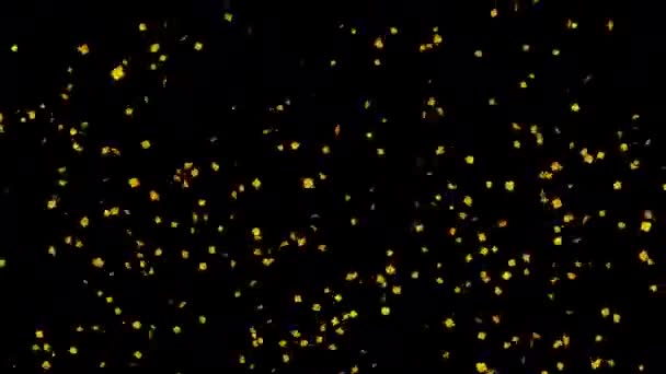 Breng Het Goud Partij Met Deze Sprankelende Explosie Van Confetti — Stockvideo