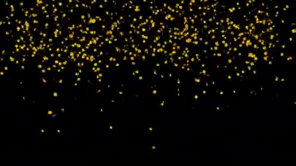 Confetti Gold Firandet Denna Vackra Gyllene Partikel Bakgrund Perfekt För — Stockvideo