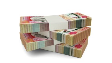 Mauritian Rupisi 'nin 3D kopyası. Mauritian para biriminden birkaç deste beyaz arka planda izole edilmiş