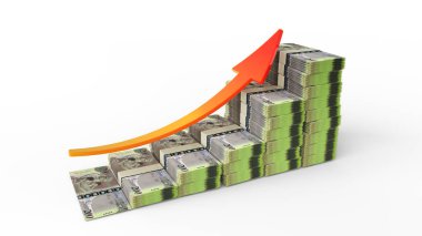 Botswanan Pula banknotlarından oluşan finansal büyüme işareti. Botswanan parasının beyaz arkaplanda izole edilmiş bir çubuk grafik şeklinde düzenlenmesi
