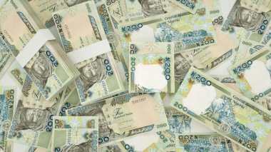 Yüzeye yayılmış Nijerya naira notlarının 3D görüntülenmesi