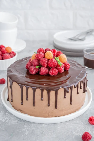 Слоистый Медовый Шоколадный Торт Глазурью Свежей Малиной Сверху Вкусный Шоколадный — стоковое фото