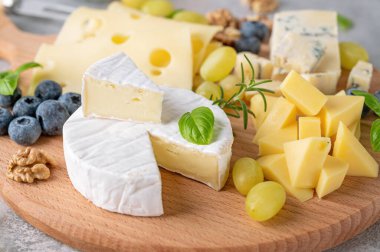 Çeşit çeşit peynirli peynir tabağı, bal, üzüm, fındık, zeytin, yaban mersini ve çimento arka planda taze otlar. Atıştırmalık şenlik. Üst görünüm, alanı kopyala.