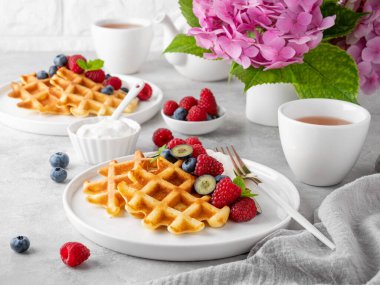 Krem şantili lezzetli Belçika Waffle 'ı, taze böğürtlen ve gri beton arka planda beyaz bir tabakta nane şekeri. Yaz kahvaltısı