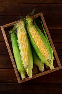 Koyu ahşap arka planda ahşap bir tepside taze taze taze taze mısır koçanı. Üst görünüm