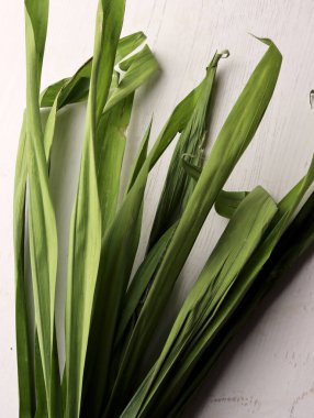 Ice cincau pandan yaprağı Endonezya 'nın geleneksel içecek malzemesi Asya tatlısı gula jawa yağ