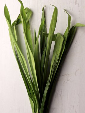 Ice cincau pandan yaprağı Endonezya 'nın geleneksel içecek malzemesi Asya tatlısı gula jawa yağ