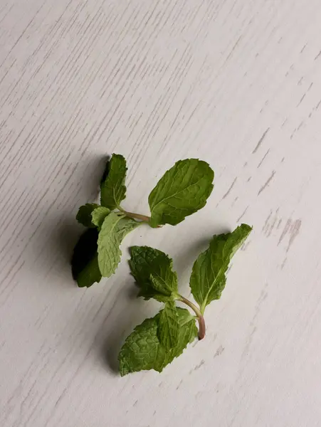 Taze nane yaprakları, nane aromalı baharat bitkisi, antioksidan iş yeri, vejetaryen fotoğraf, şifalı bitkiler, gıda sanatı.