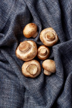 Yer mantarı vejetaryen bitki karışımı geleneksel Asya yemekleri fotoğrafçılık mutfağı boku.