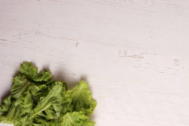 Salatalık salatası malzemesi. Taze bitkisel salata bahçesi. Yaz mevsimi organik bitkiler.